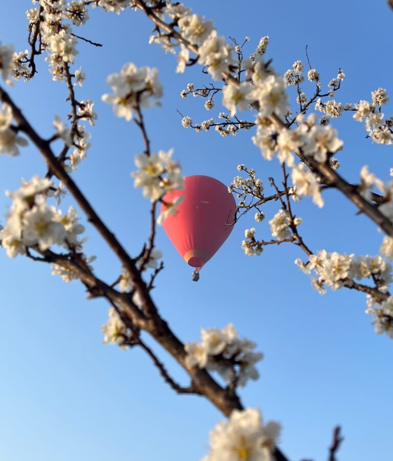 반려동물에어컨, 에어컨냄새제거, 고양이집에어컨, 강아지털필터, 펫에어컨사용법, 에어컨필터청소, 펫모드에어컨, 무풍냉방, 에어컨탈취, 송풍모드건조, 애완동물가전관리, 여름에어컨관리, 2025펫가전트렌드